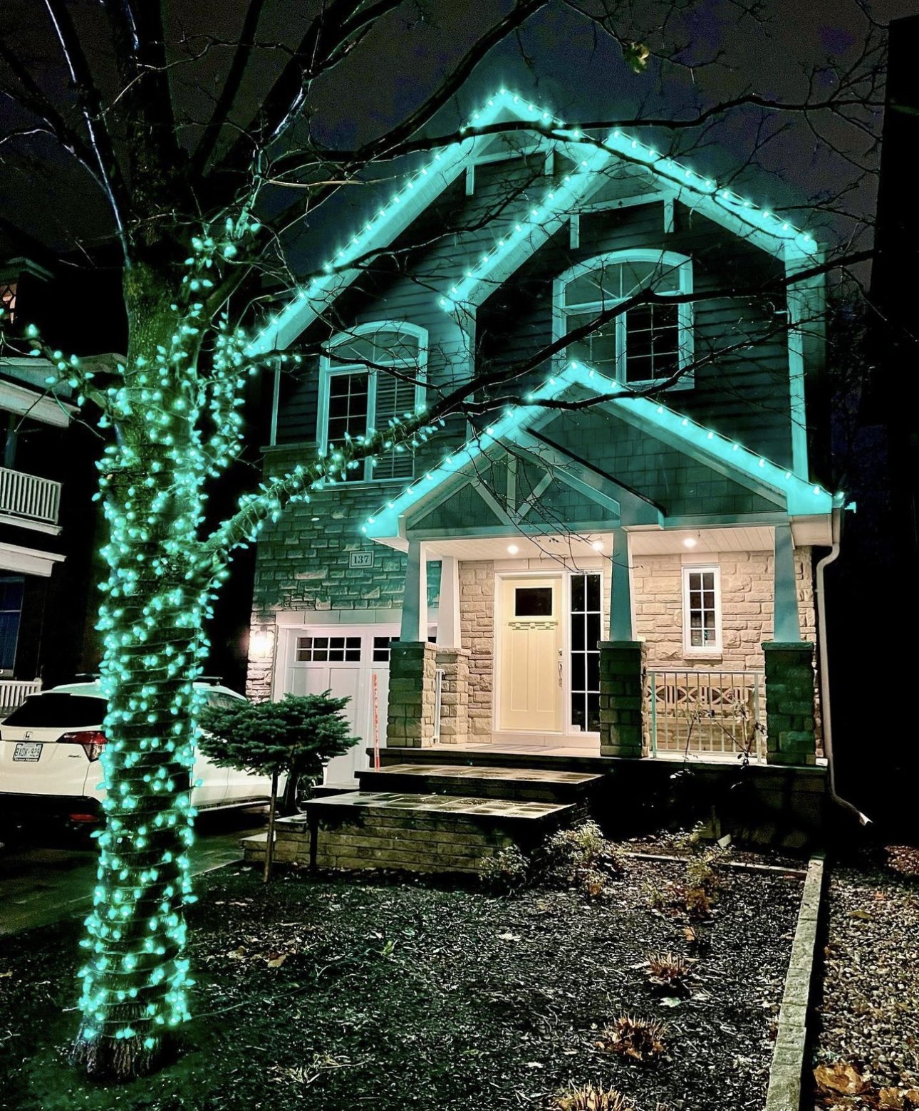 Thunder Bay house outlined with permanent LED lighting at night