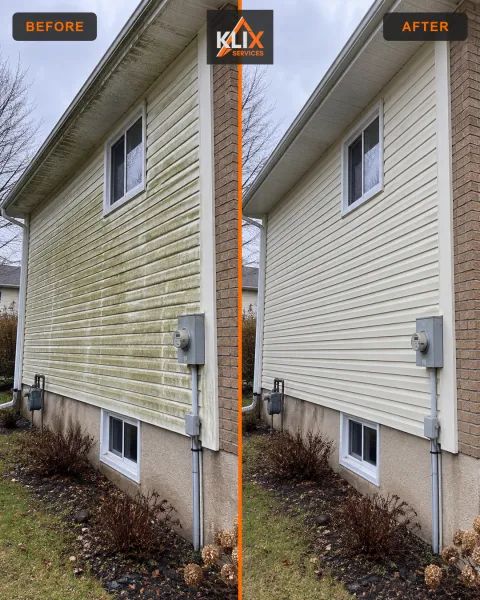 Before-and-after comparison of green buildup removed from shaded vinyl siding