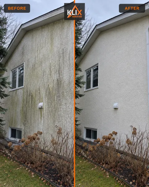 Before-and-after comparison of dark organic staining on an exterior stucco wall